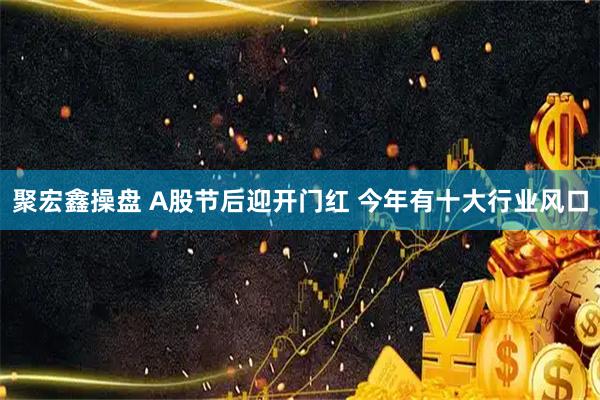 聚宏鑫操盘 A股节后迎开门红 今年有十大行业风口