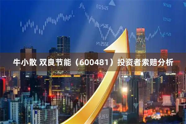 牛小散 双良节能（600481）投资者索赔分析