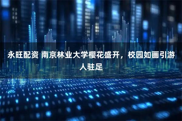 永旺配资 南京林业大学樱花盛开，校园如画引游人驻足