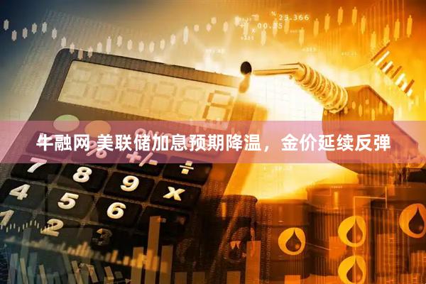 牛融网 美联储加息预期降温，金价延续反弹