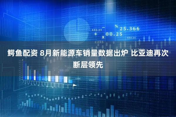 鳄鱼配资 8月新能源车销量数据出炉 比亚迪再次断层领先