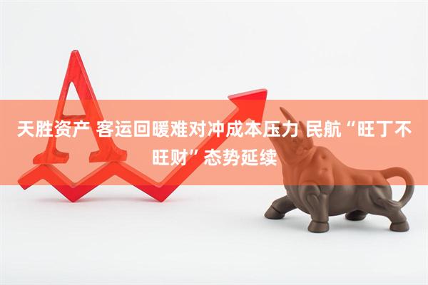 天胜资产 客运回暖难对冲成本压力 民航“旺丁不旺财”态势延续